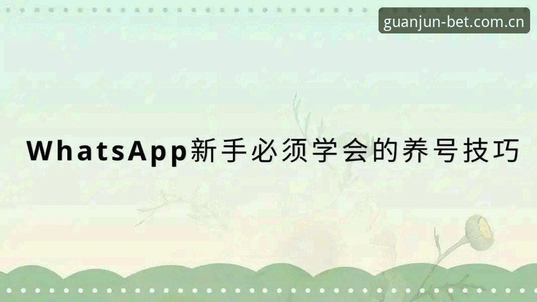 冠军体育平台使用技巧：App端vs网页端，哪个更适合新手？